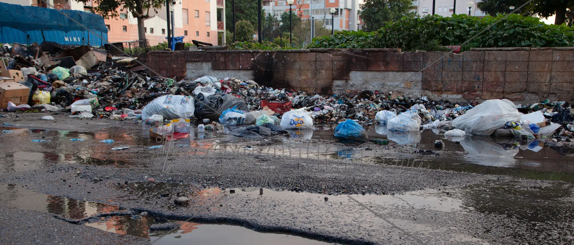 Emergenza rifiuti a Reggio Calabria, le associazioni ambientaliste chiedono un incontro al sindaco Falcomatà