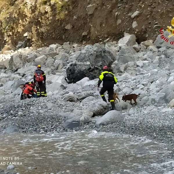 Seminara, due cani salvati dai vigili del fuoco