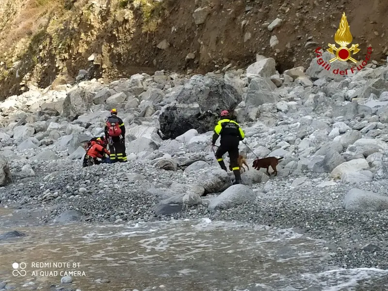 Seminara, due cani salvati dai vigili del fuoco
