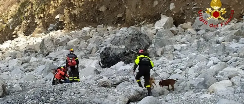 Seminara, due cani salvati dai vigili del fuoco