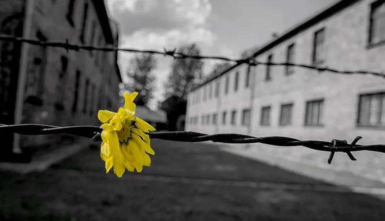 \"Il giorno della Memoria. Il giorno del Ricordo. I giorni della Storia. Il ripudio della guerra”, il ciclo di iniziative a Reggio