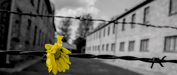 Siderno: Giornata della Memoria, il convegno sui caduti nella Seconda Guerra Mondiale