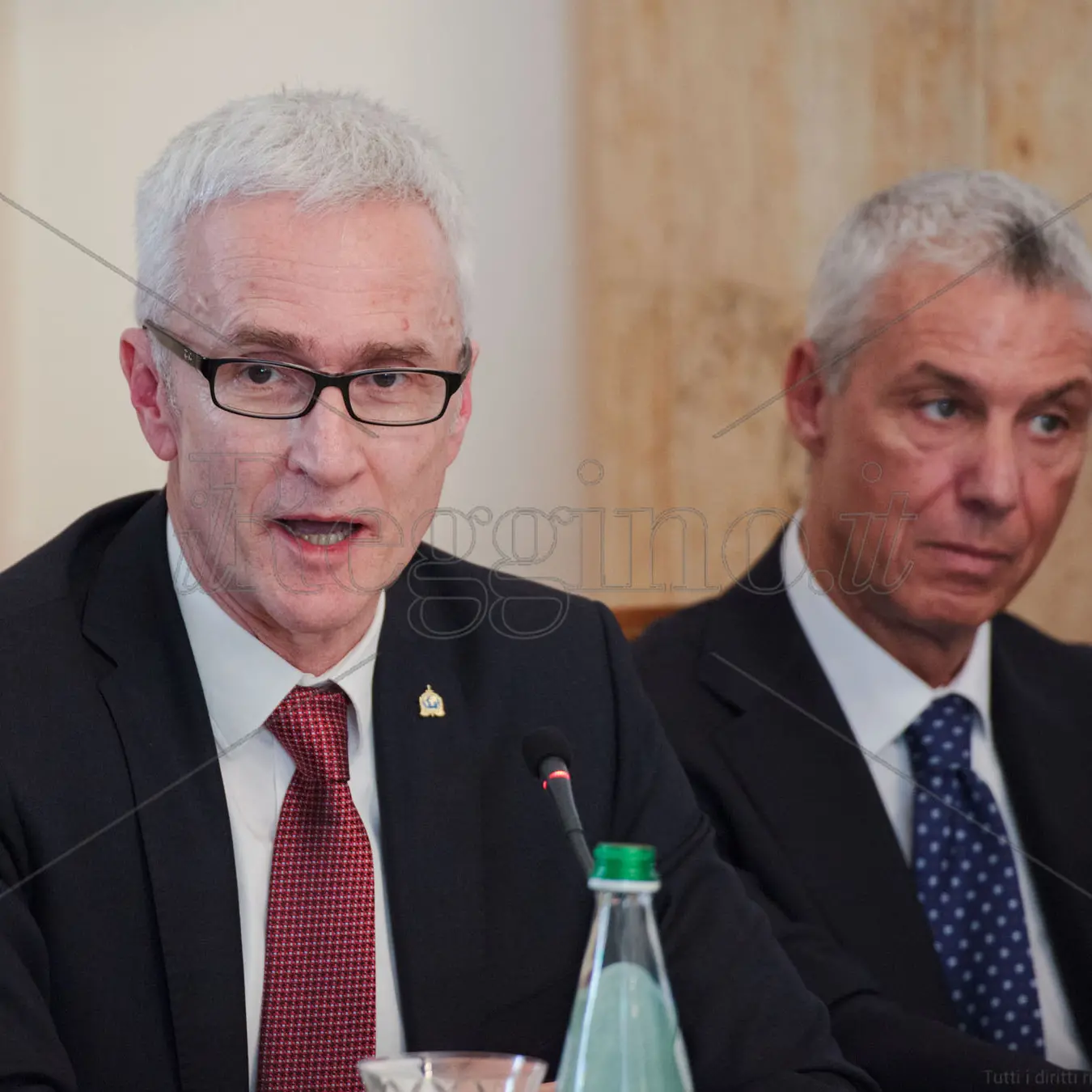 Interpol, il progetto di attacco globale alla 'ndrangheta