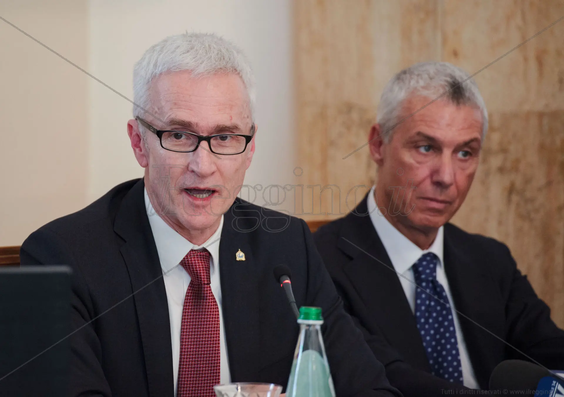 Interpol, il progetto di attacco globale alla 'ndrangheta