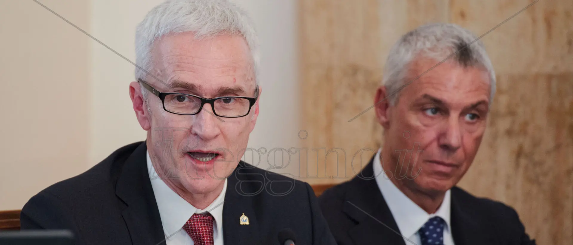 Interpol, il progetto di attacco globale alla 'ndrangheta