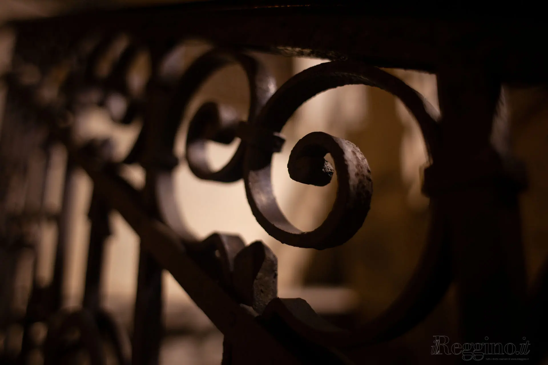 VOLUTE