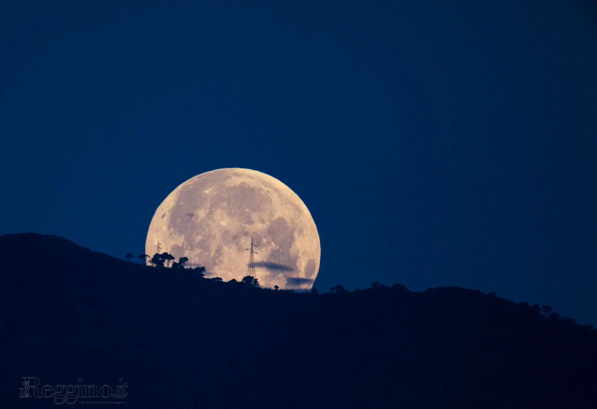 BLUE MOON