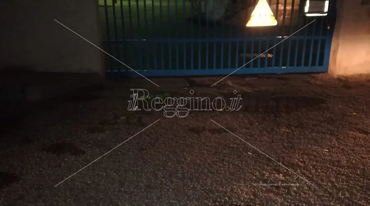 Reggio, rimossi i rifiuti lasciati davanti all'istituto \"Telesio\"