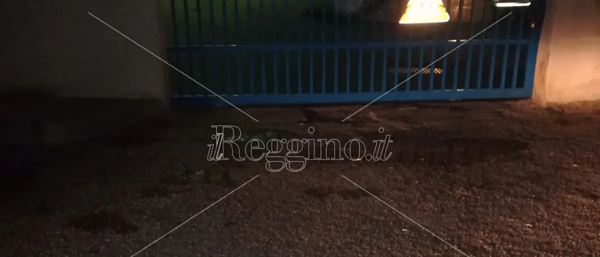 Reggio, rimossi i rifiuti lasciati davanti all'istituto \"Telesio\"