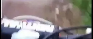 Sfuggono alla polizia e postano video sul web. Beccati e multati