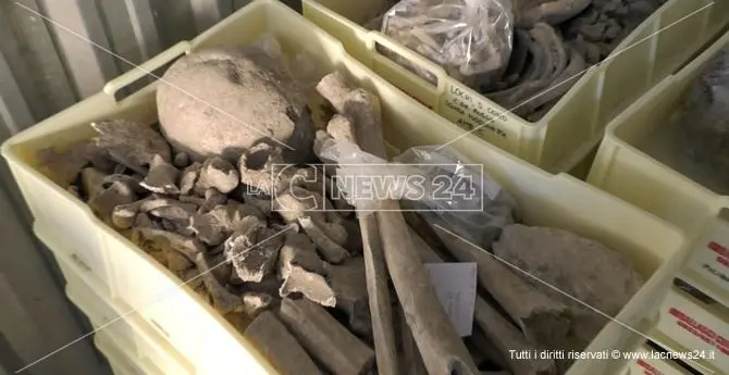 Locri, la necropoli romana scoperta per caso rivela tesori inaspettati