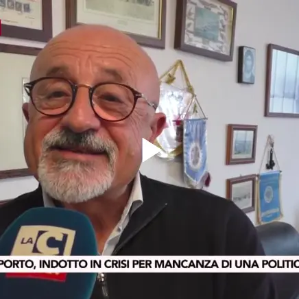Porto di Gioia, non si vive di soli container: il grido delle aziende dell’indotto
