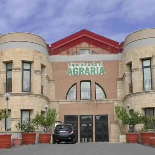 Università Mediterranea, domani si apre il ciclo di seminari della Biblioteca di Agraria