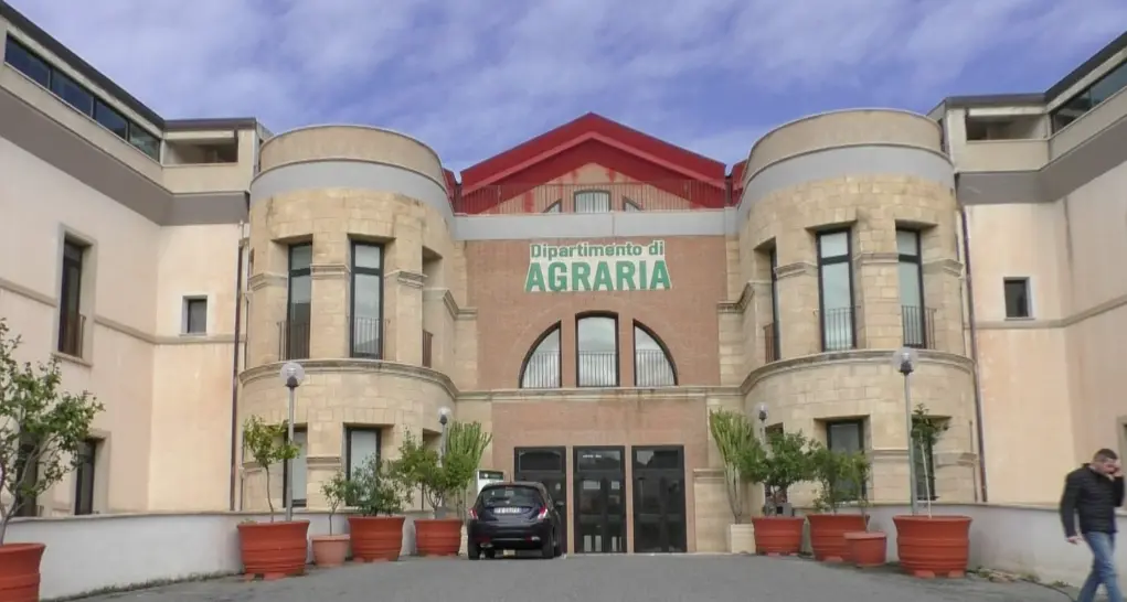 Reggio sulle orme di Francesco d’Assisi: al Dipartimento di Agraria un seminario con Fra Pietro Maranesi\n