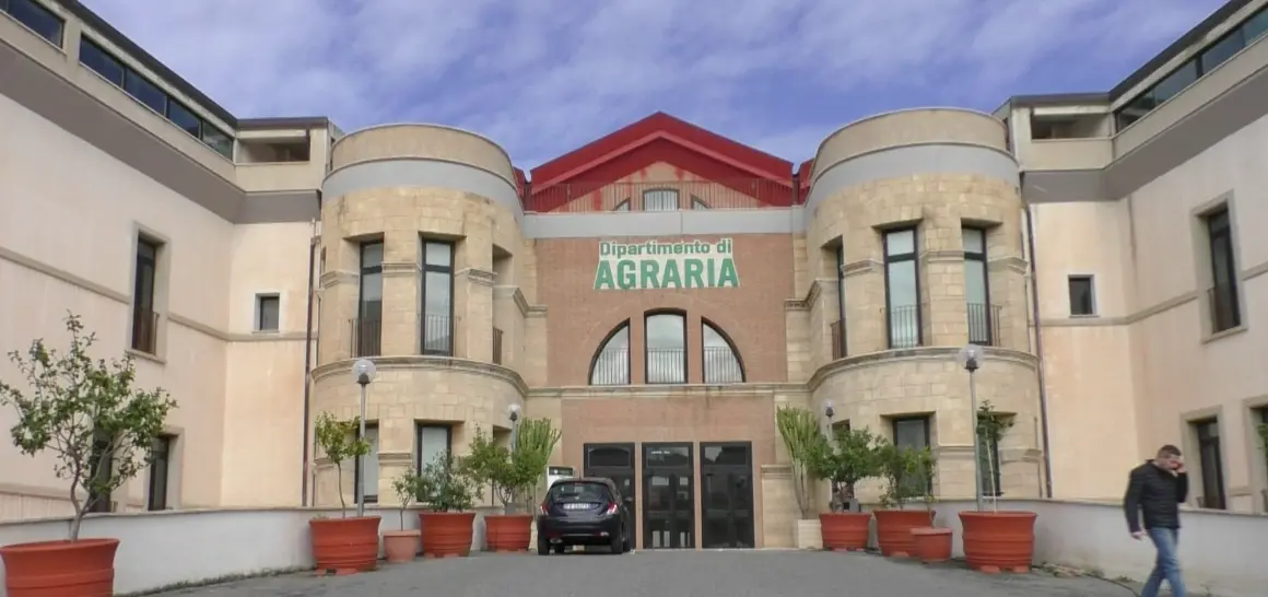 Reggio, ad Agraria domani il convegno «Laudato sii: riflessioni sul creato e sull’agire dell’uomo»