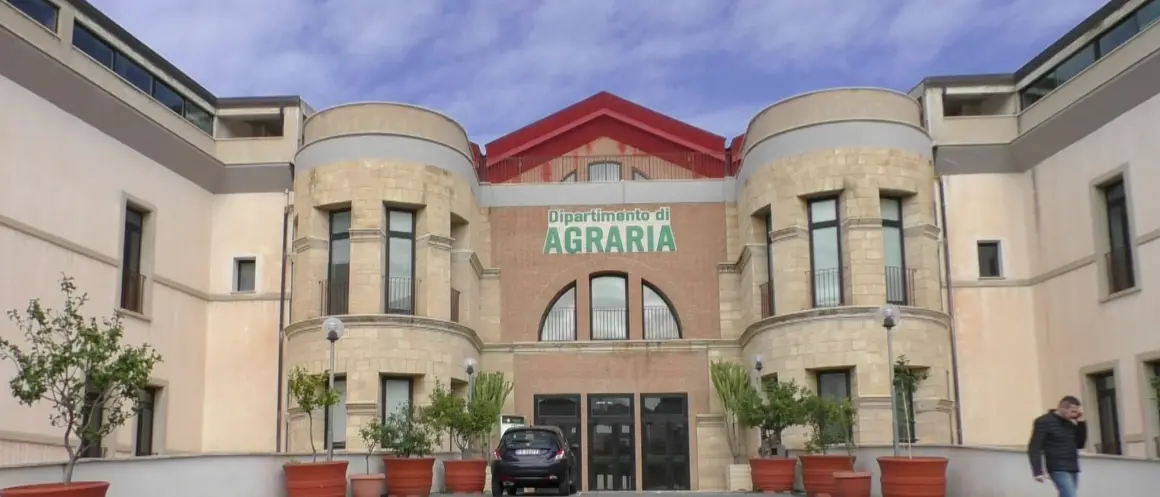 Reggio, ad Agraria domani il convegno «Laudato sii: riflessioni sul creato e sull’agire dell’uomo»