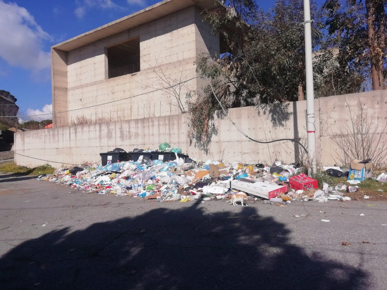 Coronavirus ed emergenza rifiuti, per \"Reggio bene comune\" servono misure urgenti e radicali