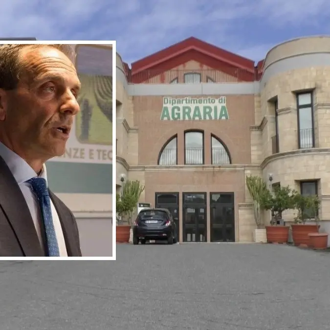 Facoltà di Agraria, gli auguri del professor Zimbalatti ai neo laureati