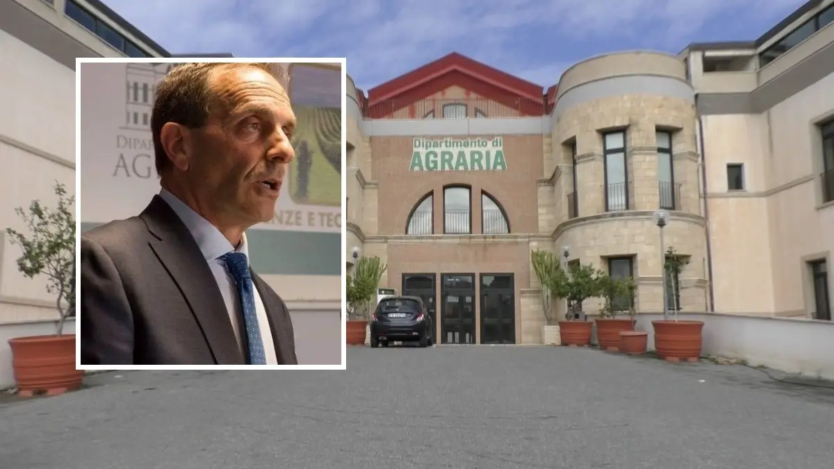 Facoltà di Agraria, gli auguri del professor Zimbalatti ai neo laureati