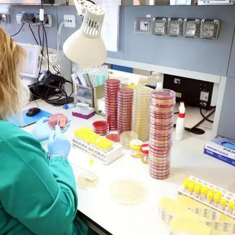 Coronavirus a Reggio Calabria, quarto caso positivo a Rosarno