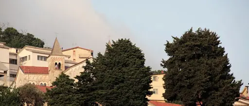 Santo Stefano in Aspromonte, il Comune dona colombe e mascherine alle famiglie