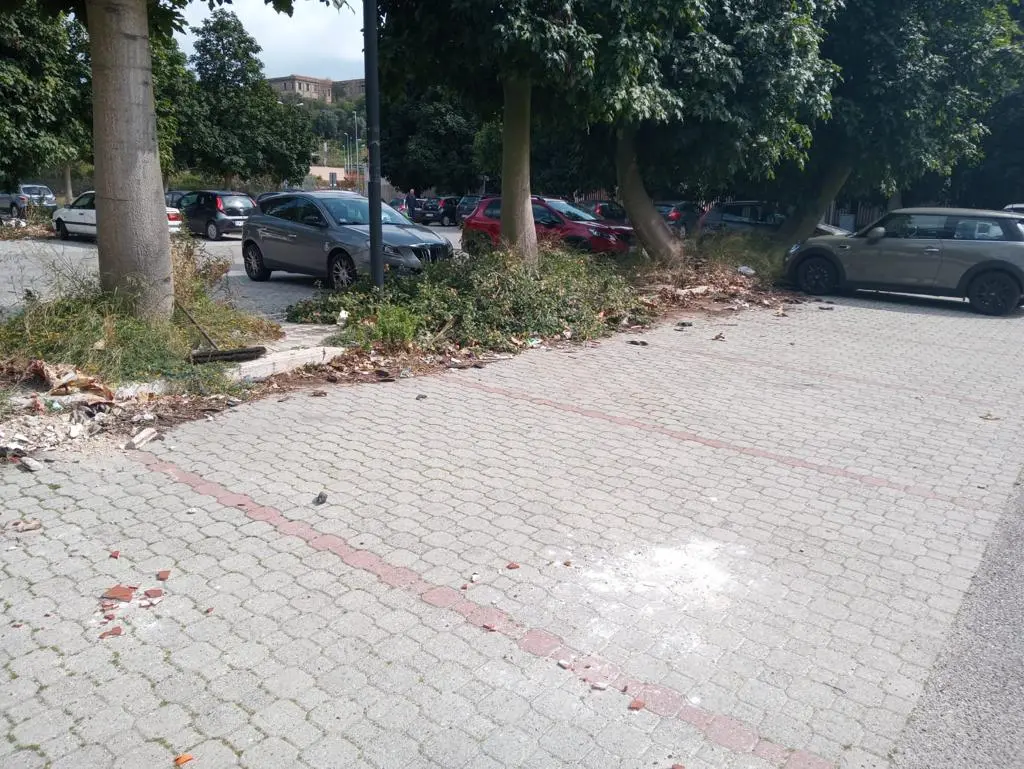 Miscodiscariche, l'impegno comunale per l'eliminazione dei rifiuti abbandonati