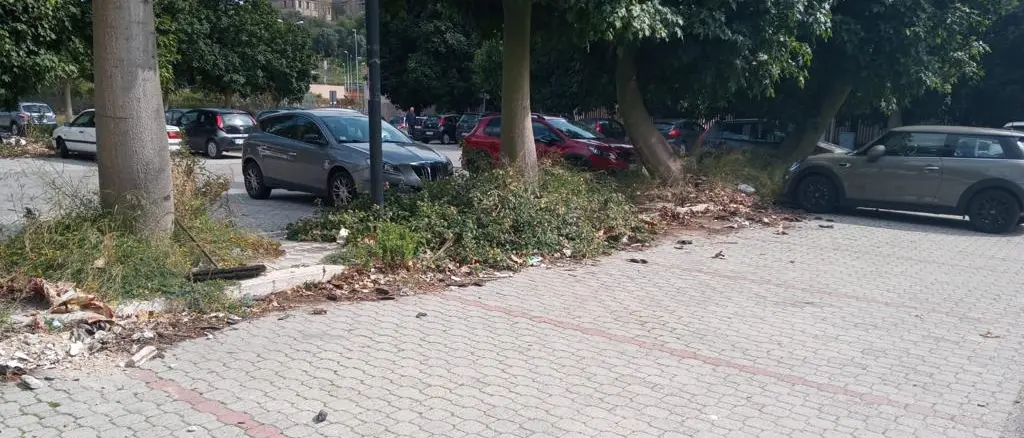 Miscodiscariche, l'impegno comunale per l'eliminazione dei rifiuti abbandonati