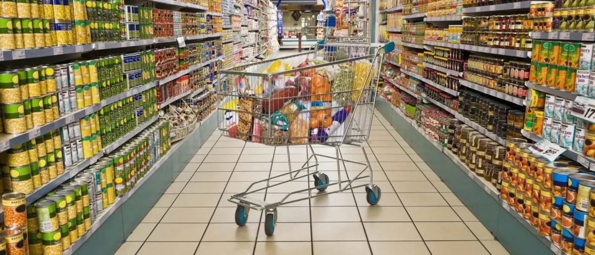 'Ndrangheta, dalle curve di San Siro ai supermercati in Germania: ecco gli interessi dei Bellocco