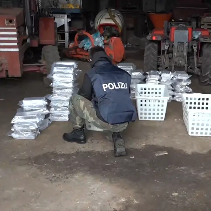 'Ndrangheta, deteneva in casa oltre mezza tonnellata di cocaina: arrestato Rocco Molè