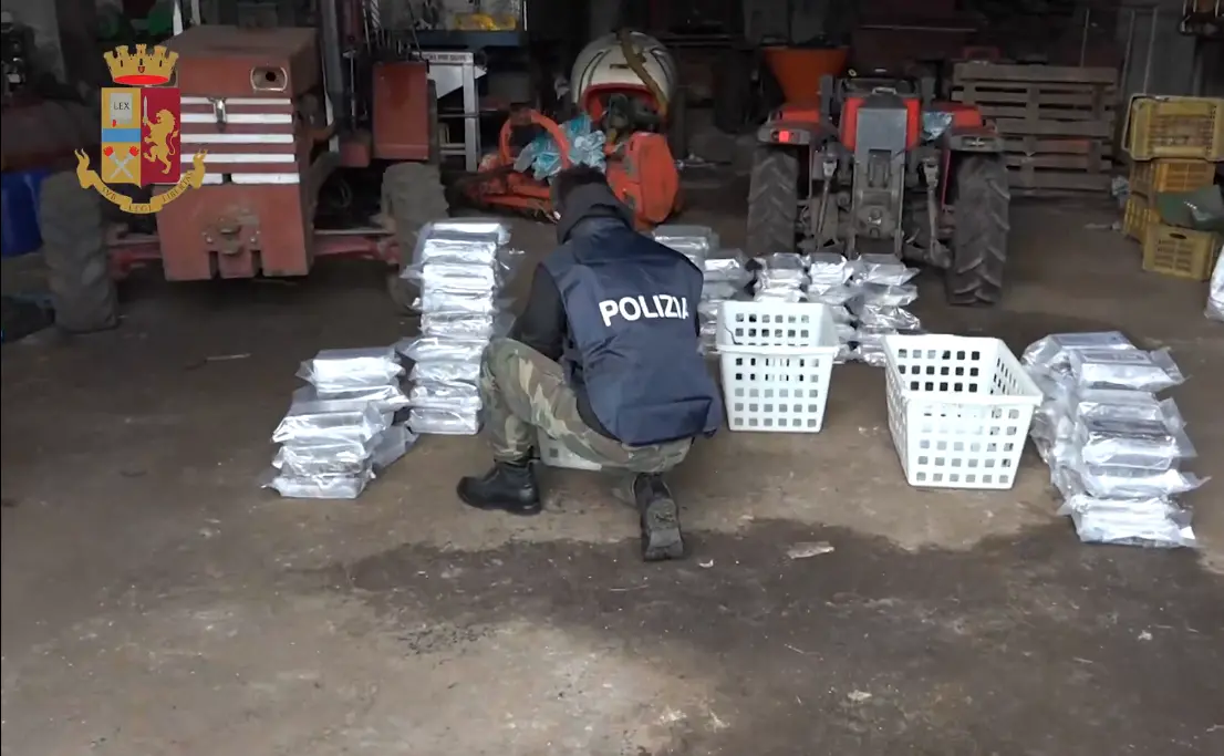 'Ndrangheta, deteneva in casa oltre mezza tonnellata di cocaina: arrestato Rocco Molè
