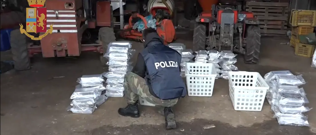 'Ndrangheta, Lamorgese: «Brillante attività' investigativa a Gioia Tauro»