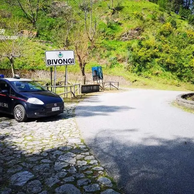 Abbandonava illecitamente rifiuti. Denunciato un macellaio di Stilo