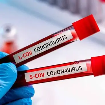 Coronavirus a Reggio Calabria, nessun nuovo caso positivo. Il bollettino della Regione