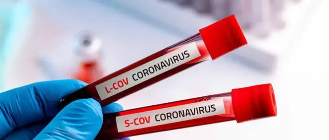 Coronavirus a Reggio Calabria, zero contagi. Il bollettino della Regione
