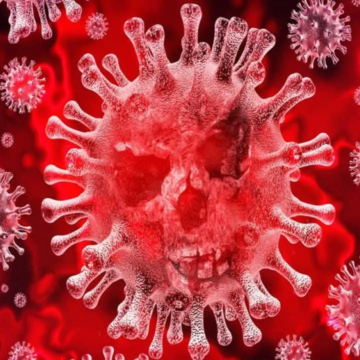 Coronavirus, il gruppo \"Bagnara aperta\" scrive alla Santelli per avere lumi sulla gestione dell'emergenza