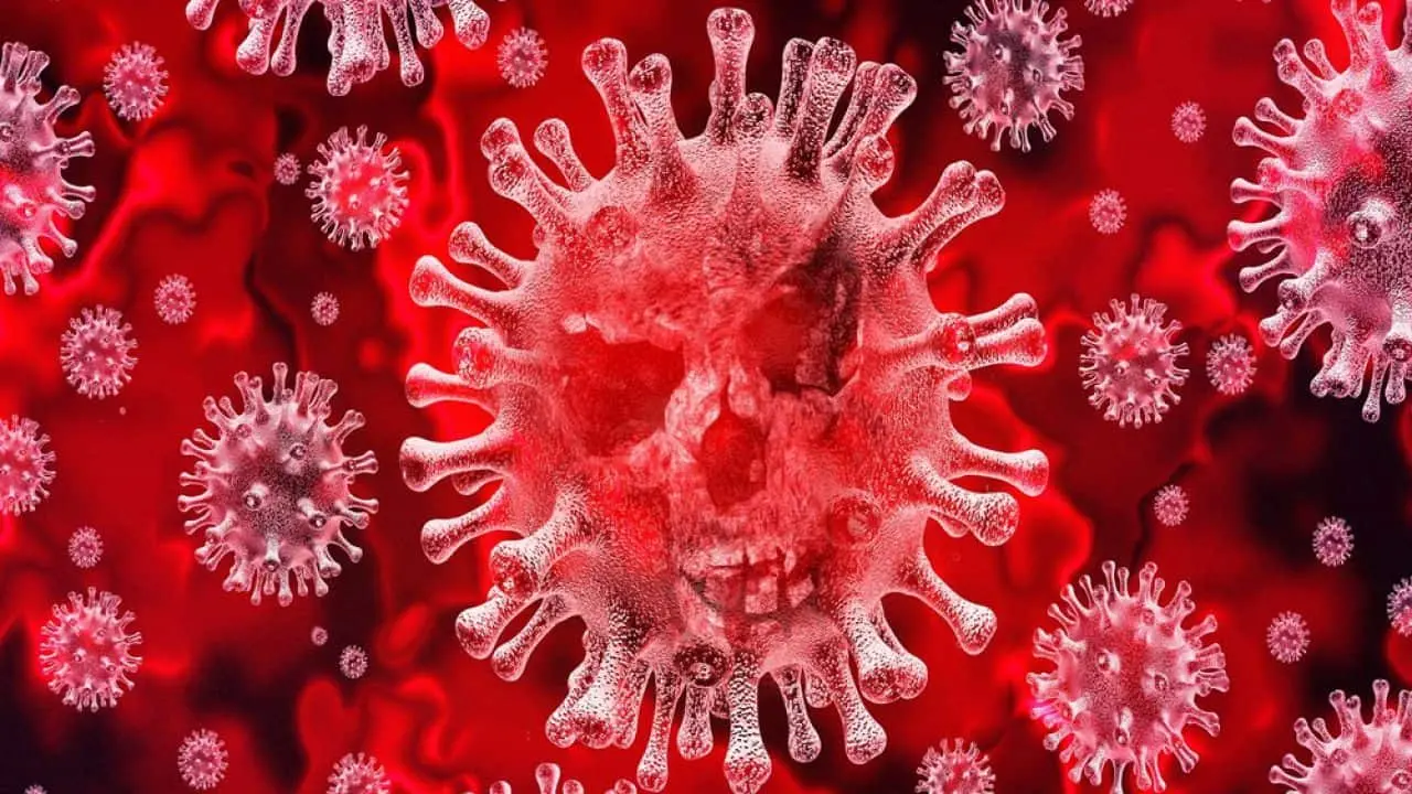 Coronavirus, il gruppo \"Bagnara aperta\" scrive alla Santelli per avere lumi sulla gestione dell'emergenza