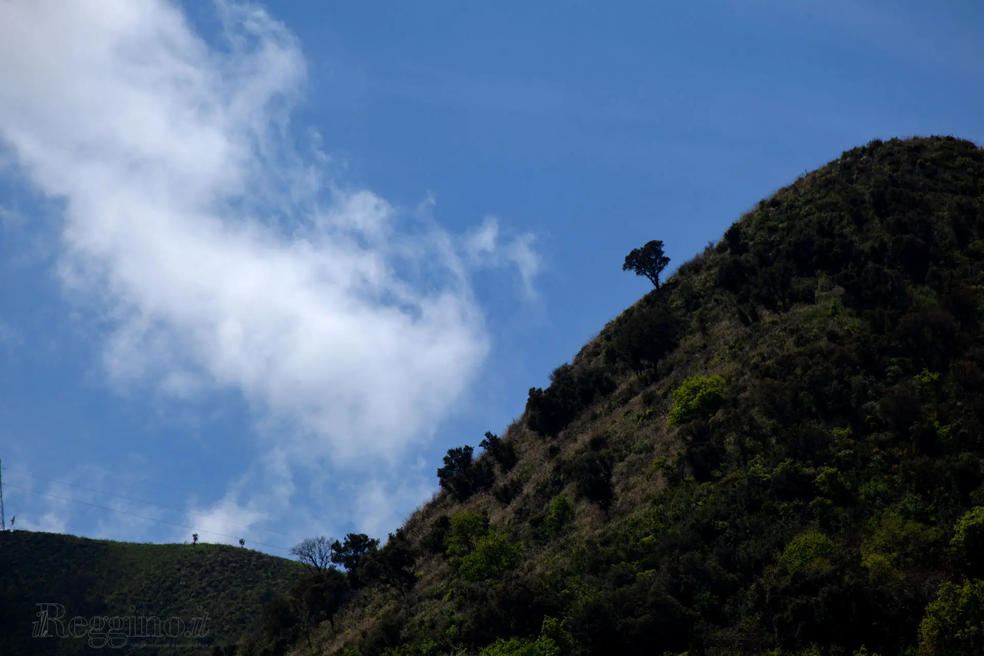 CURVE, DISLIVELLI