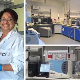 UniRc Agraria, gli studi del Focuss Lab del sul Ginepro Feniceo ed il Gin di Calabria