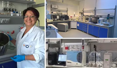 UniRc Agraria, gli studi del Focuss Lab del sul Ginepro Feniceo ed il Gin di Calabria