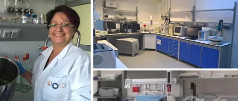 UniRc Agraria, gli studi del Focuss Lab del sul Ginepro Feniceo ed il Gin di Calabria