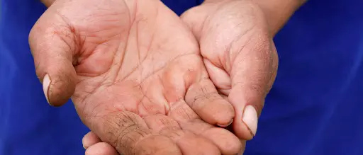 Coronavirus a Reggio Calabria, UniReggio apre 4 nuove sedi in provincia per portare il cibo a chi non lo ha