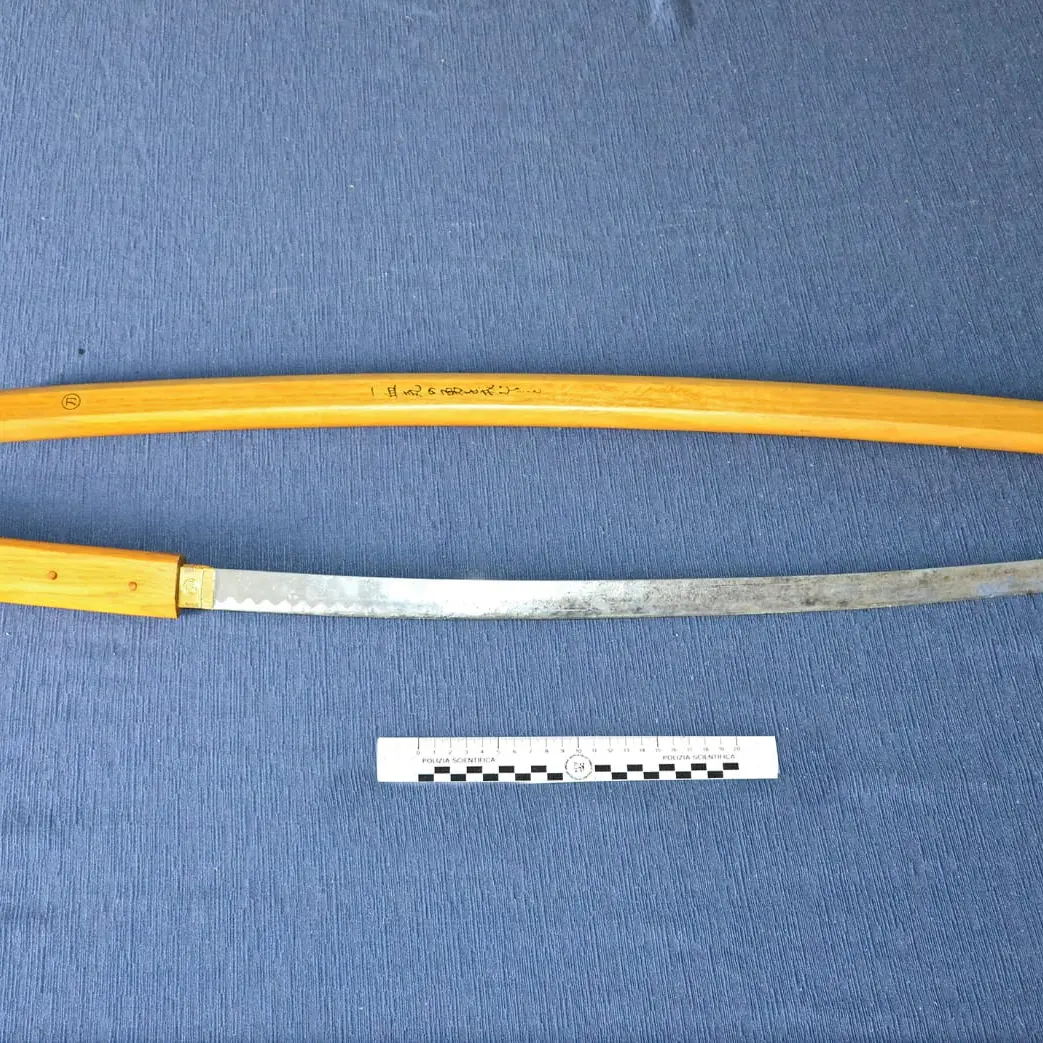 Gioia Tauro, a spasso con una katana, deferito un pregiudicato