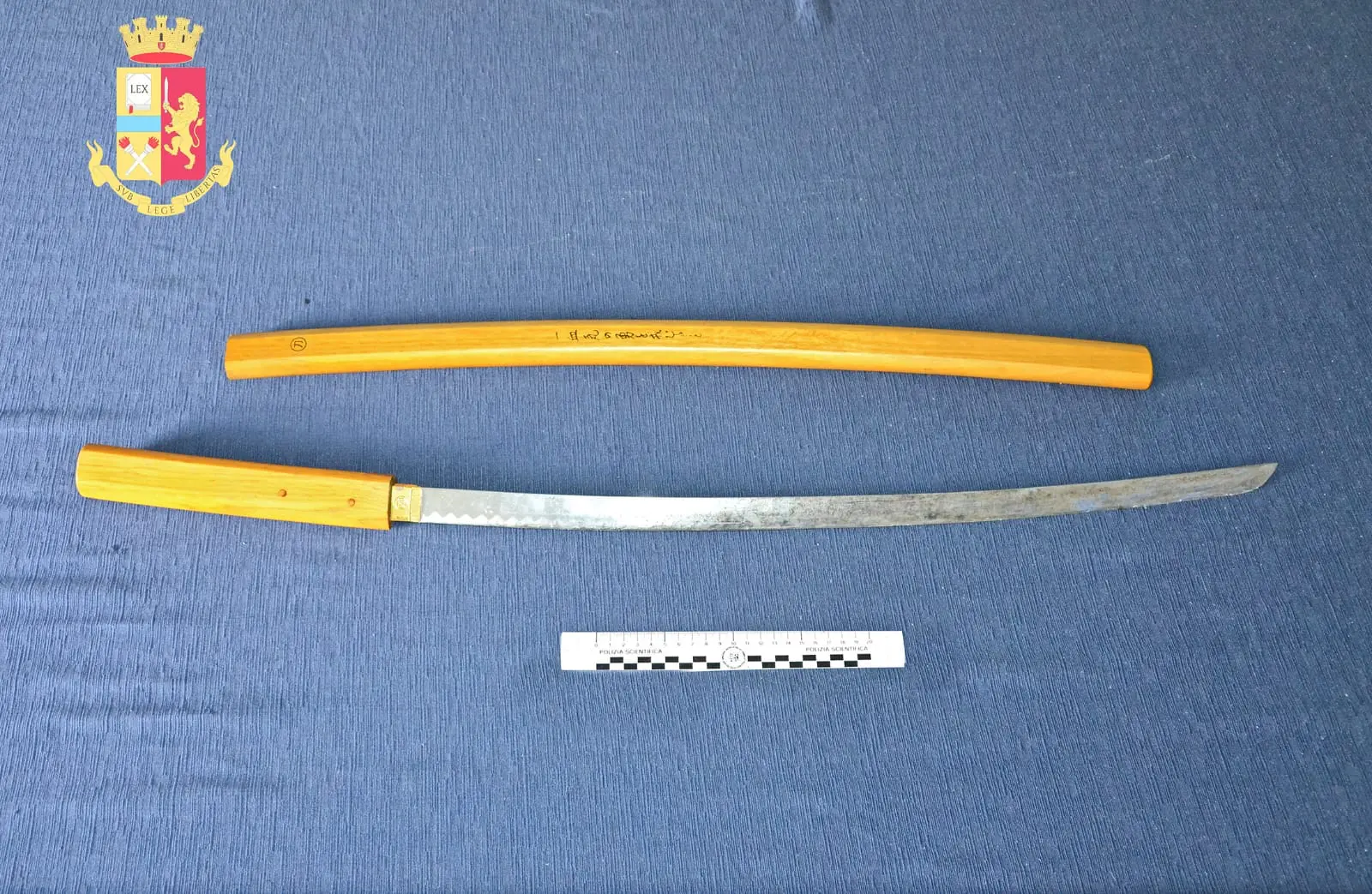 Gioia Tauro, a spasso con una katana, deferito un pregiudicato