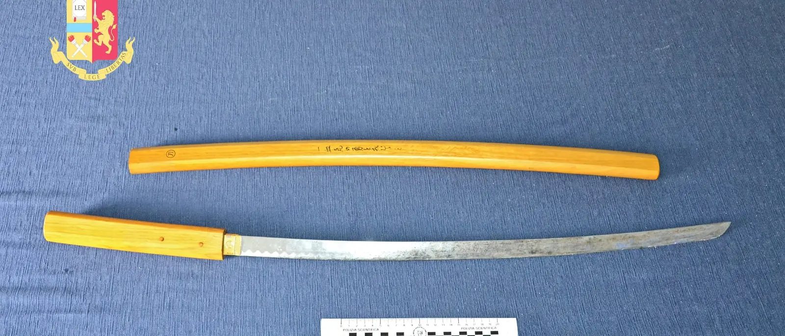 Gioia Tauro, a spasso con una katana, deferito un pregiudicato