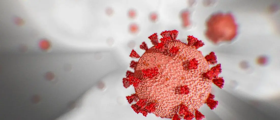 Coronavirus a Reggio Calabria, 2 nuovi casi positivi. Il bollettino della Regione