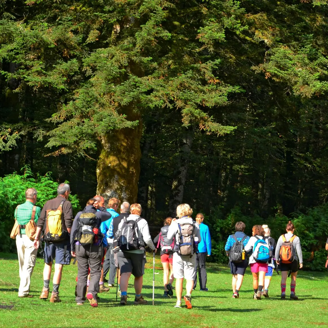 Il sentiero del Brigante è entrato nel contest 2020 dei luoghi del cuore promosso da FAI e Intesa Sanpaolo