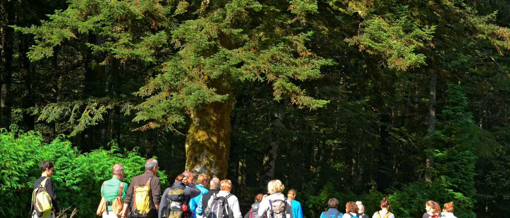 Il sentiero del Brigante è entrato nel contest 2020 dei luoghi del cuore promosso da FAI e Intesa Sanpaolo