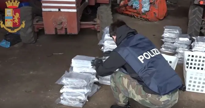 'Ndrangheta, cosca Molè Gioia Tauro: sette condanne in Corte d'appello