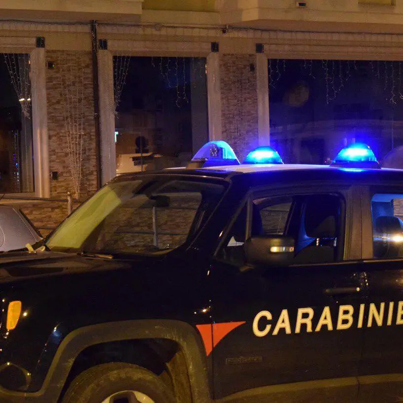 Narcotraffico, blitz tra Lombardia e Sardegna. Contatti anche con la cosca Barbaro Papalia