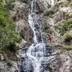 Giornata dell'Ambiente, il sogno di una Calabria più green per attrarre investimenti